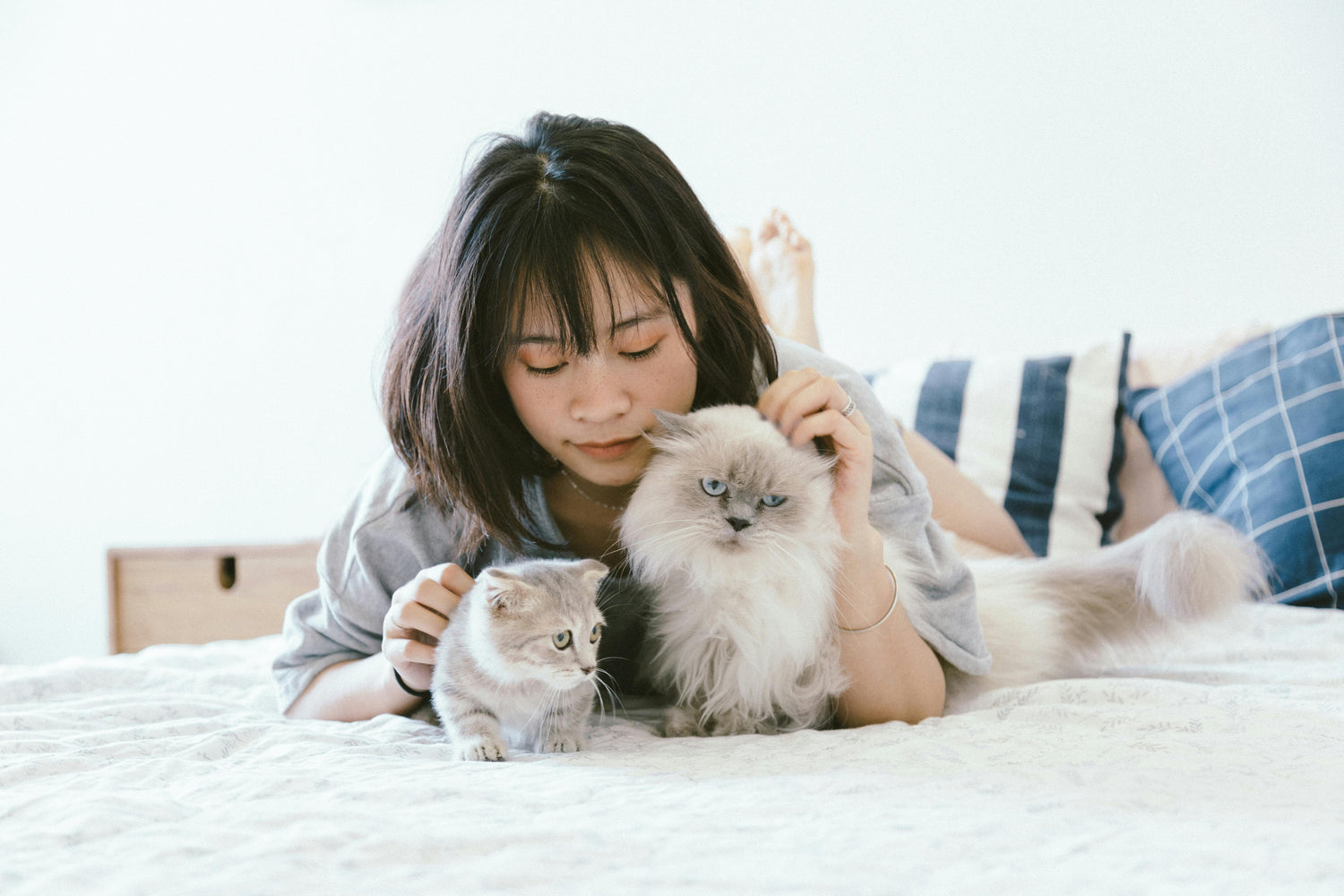 Pets Supplies